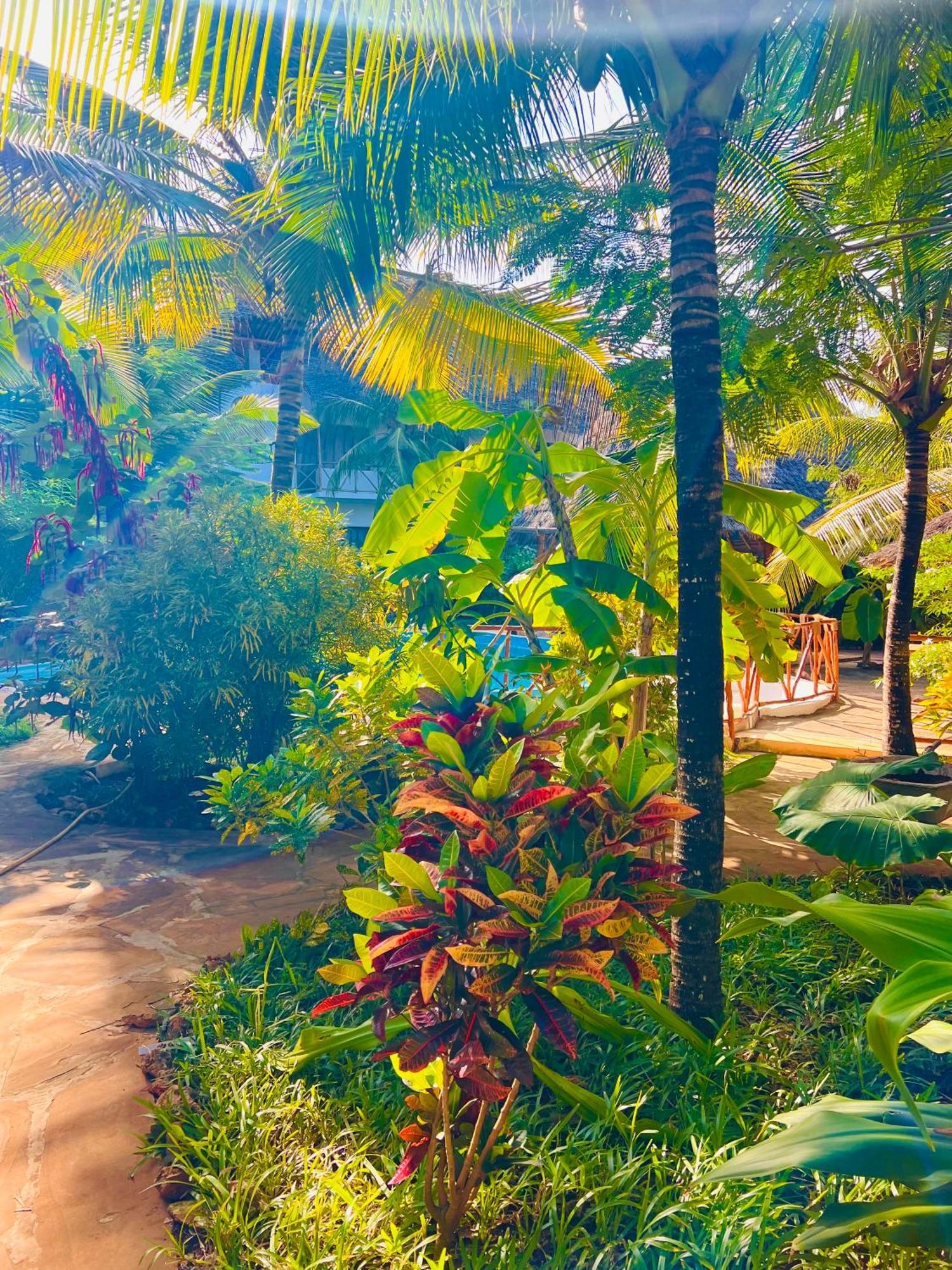 Hotel Tropical 4*