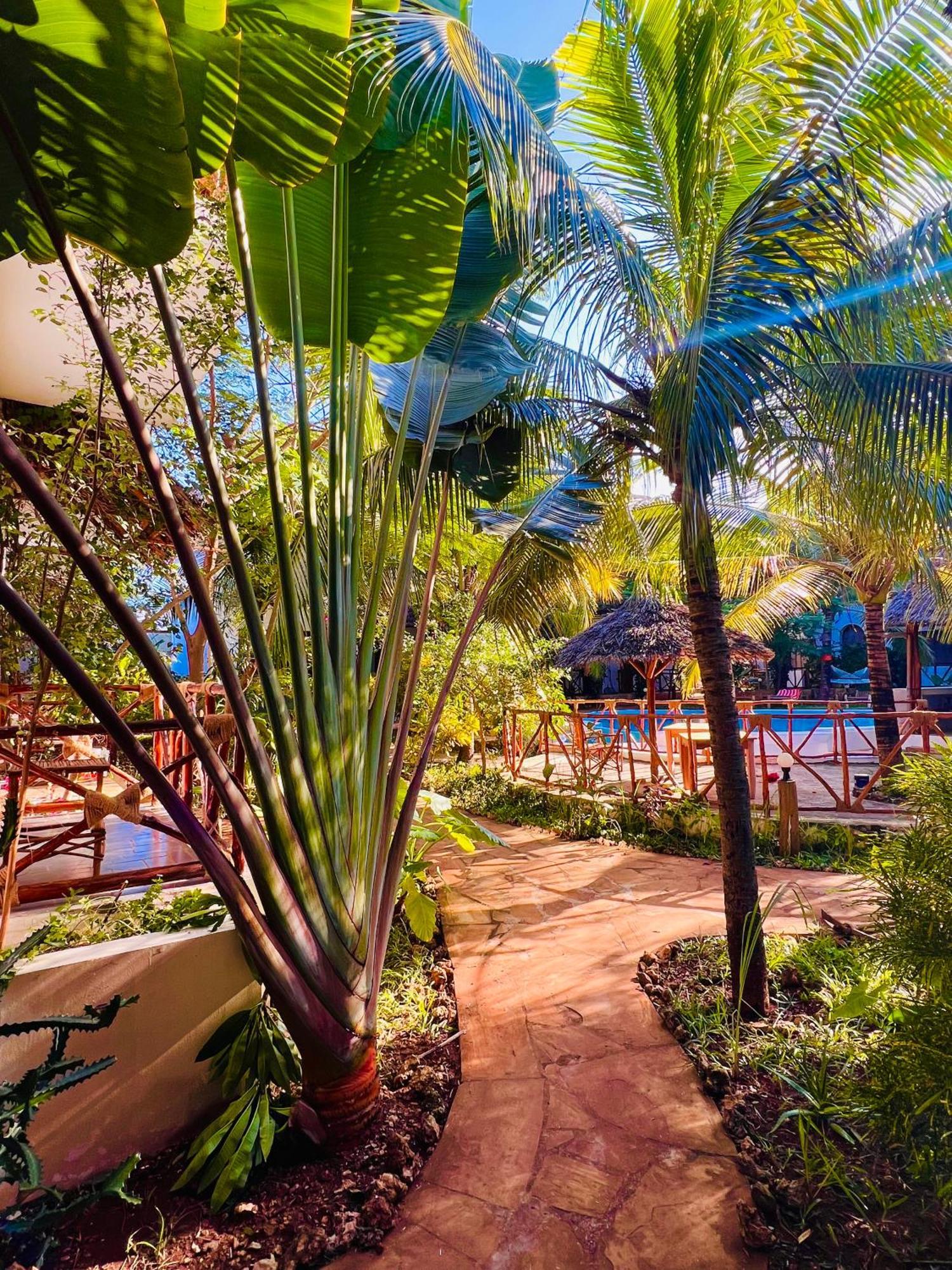 Tropical Nungwi