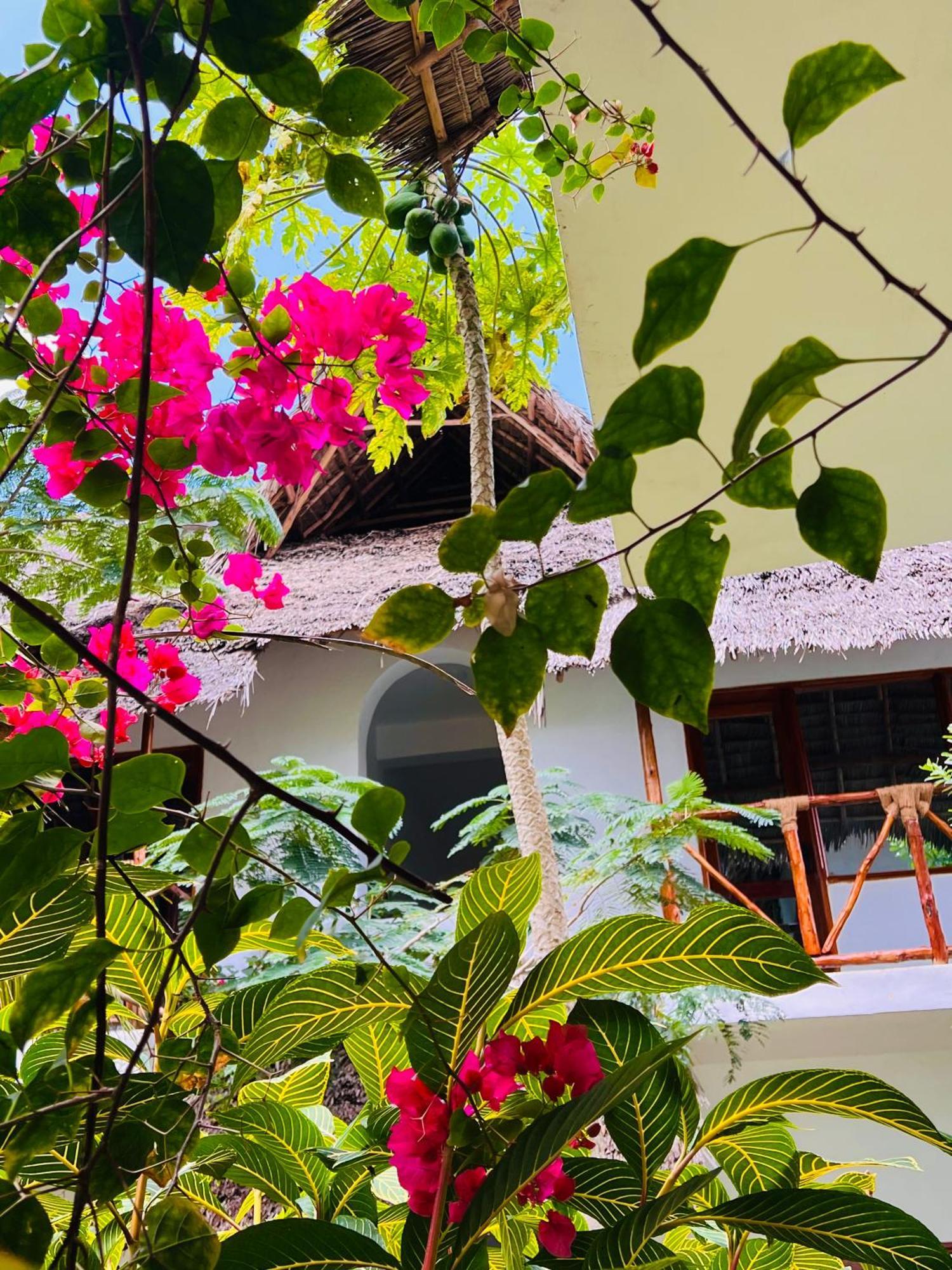 Tropical 4* Nungwi