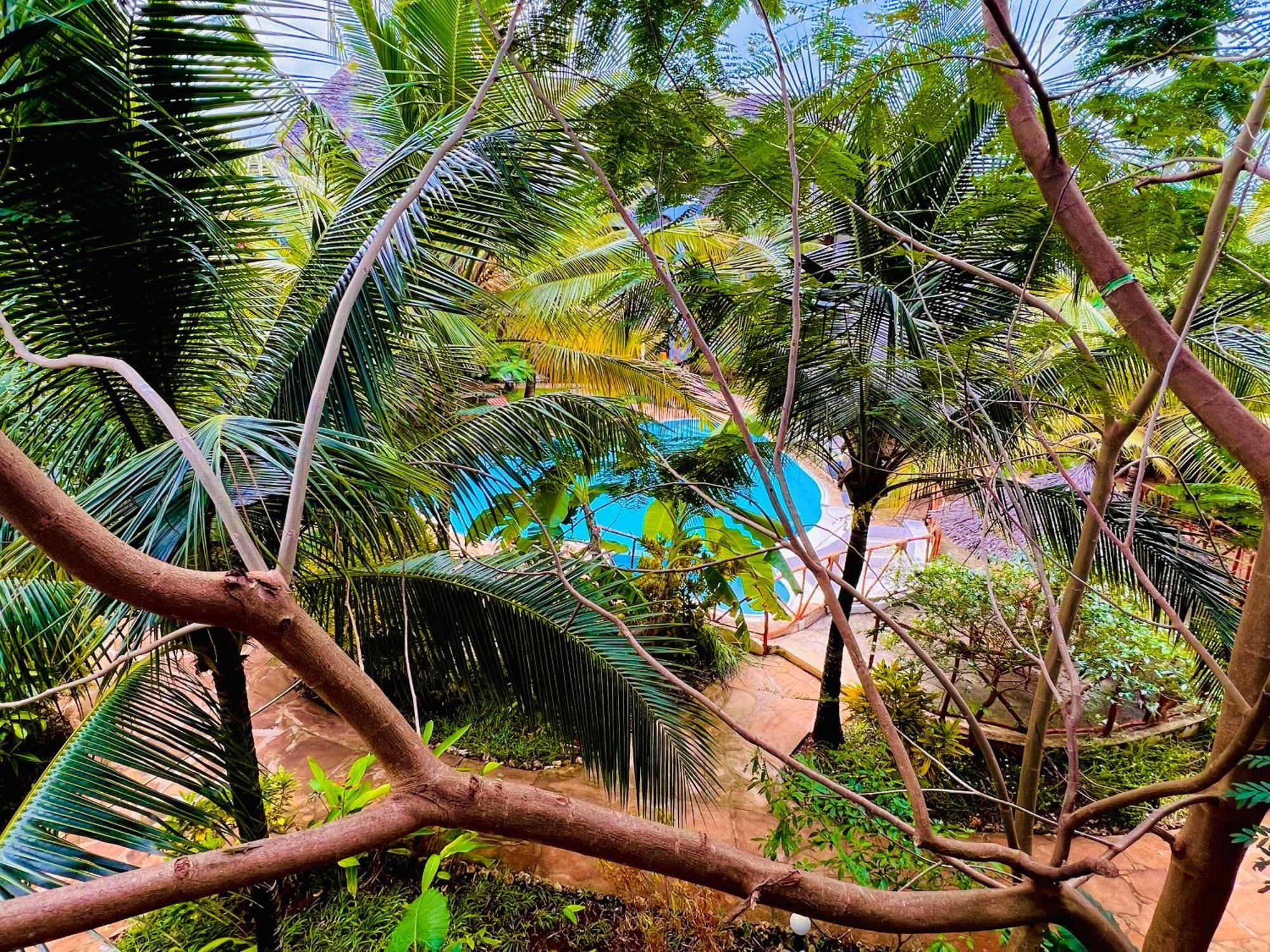 Tropical Hotel 4*