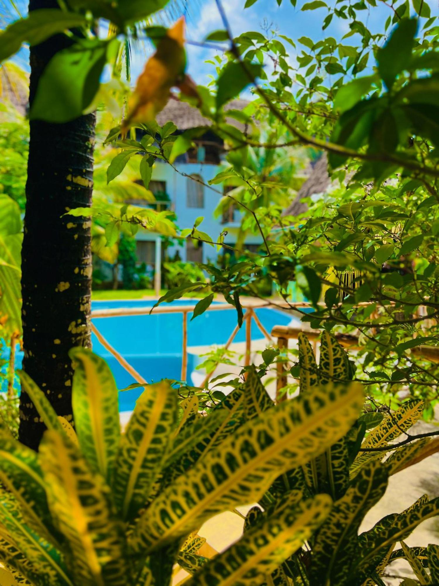 Tropical Hotel 4*
