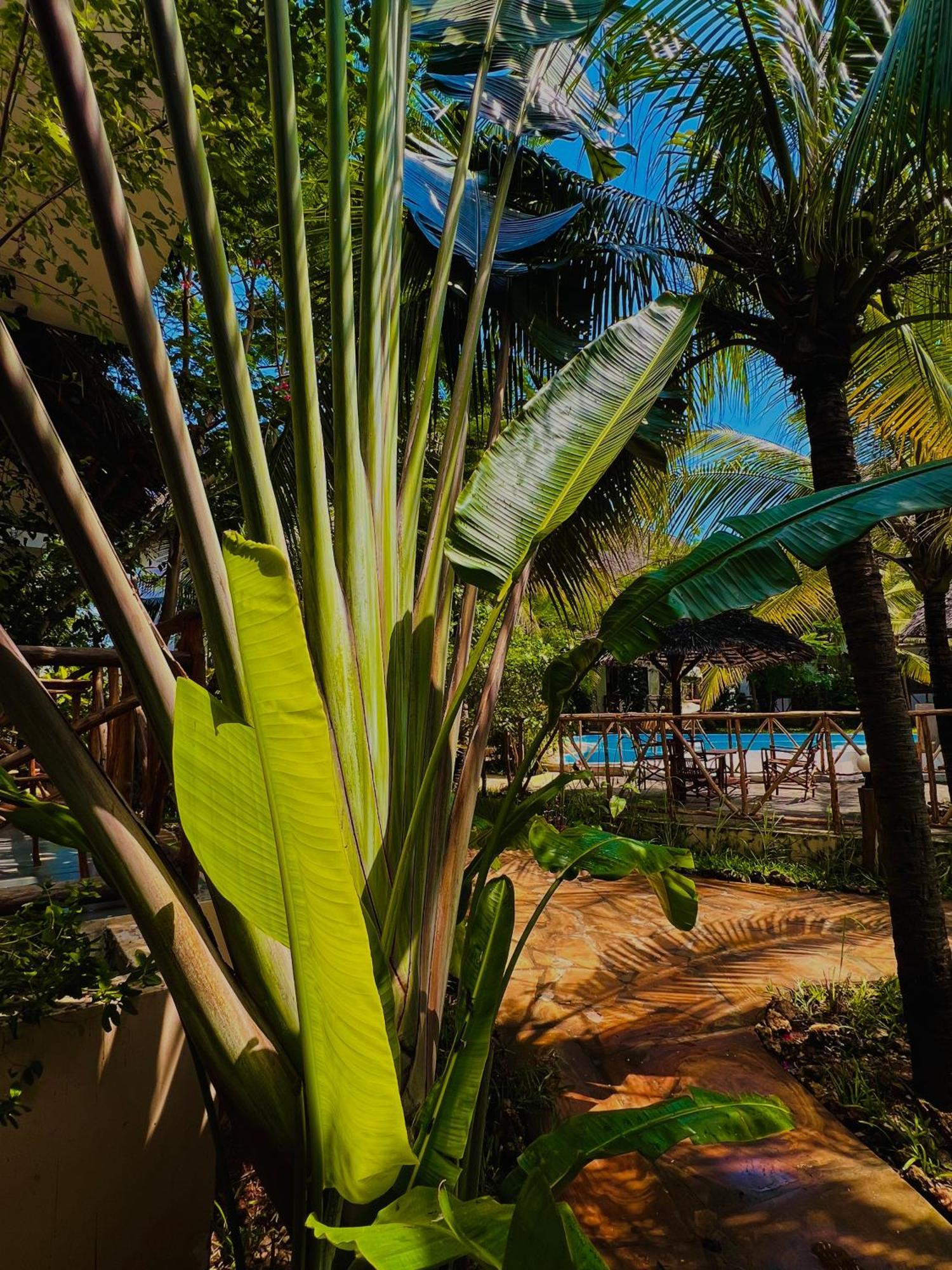 Tropical Nungwi