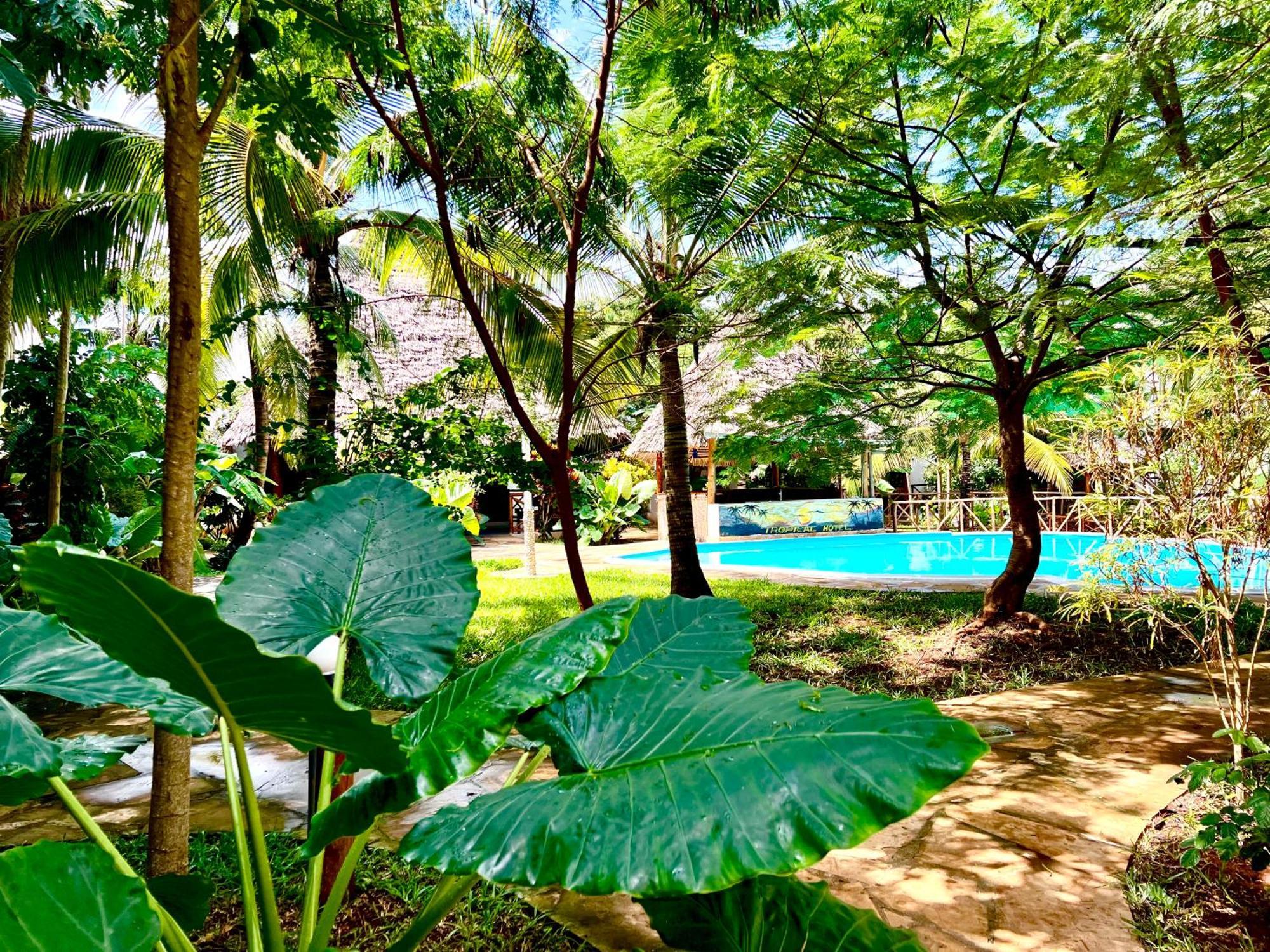 Tropical 4* Nungwi