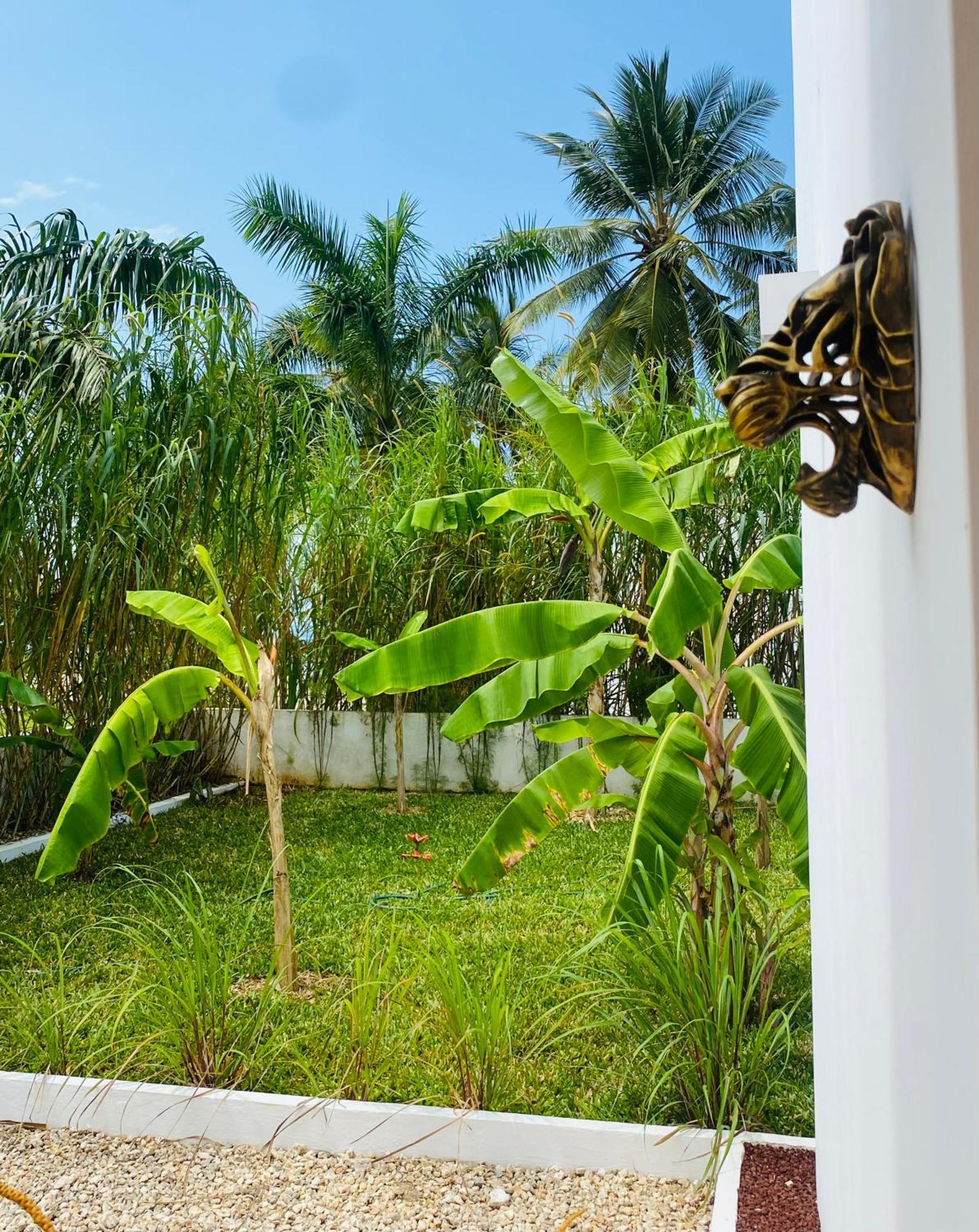 Villa Lions Luxury Zanzibar 2 - Private Cook & Infinity Pool Kiwengwa (Zanzibar)