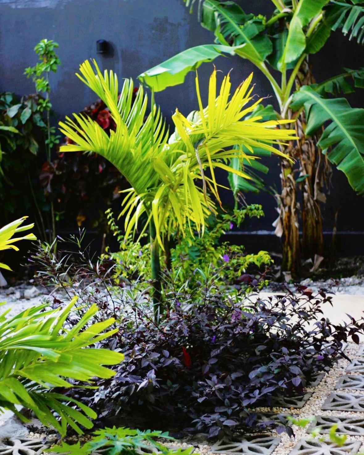 Jungle - Master Bedroom In