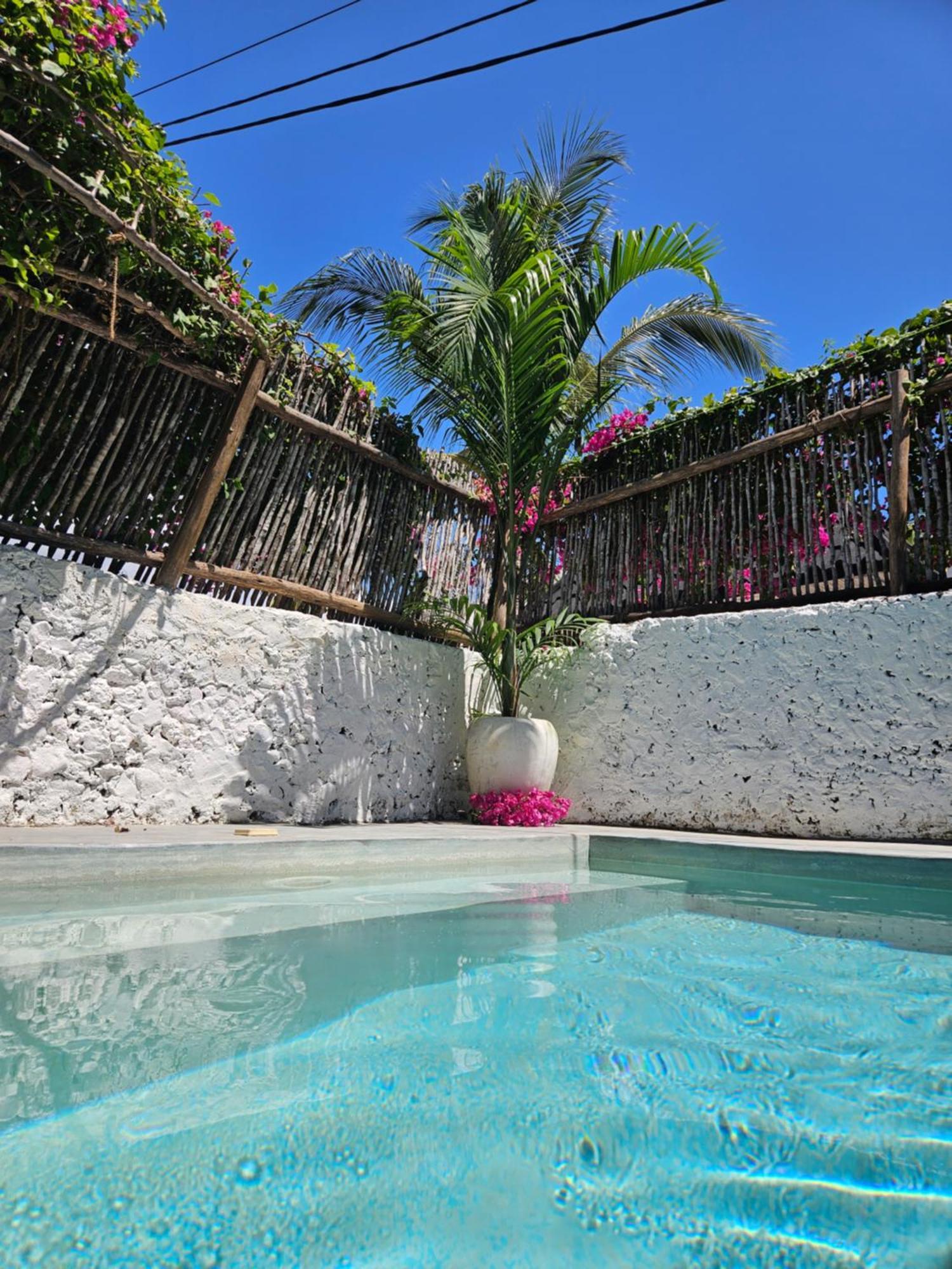 Apartment Mbaliparadise Guest Pemba