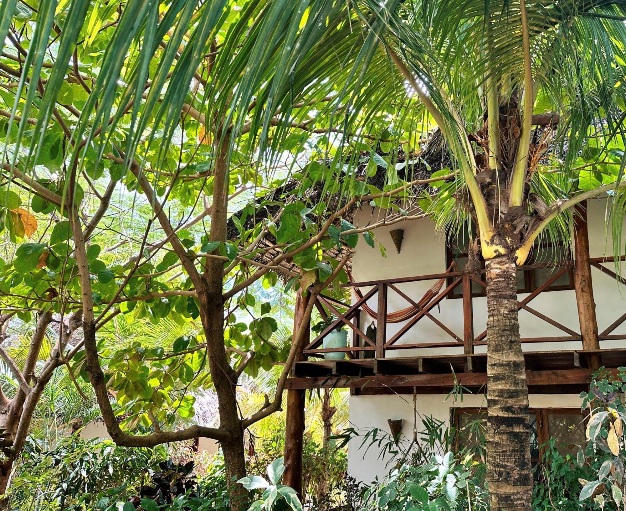 Maisha - Boutique Hotel