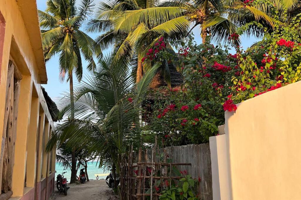 Apartment Stylish 2 Bedroom - 1 Min Walk To The Indian Ocean