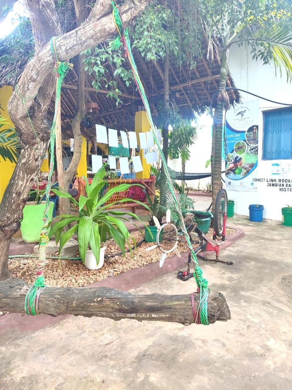 Homeland Swahili Backpacker Budget Guest house