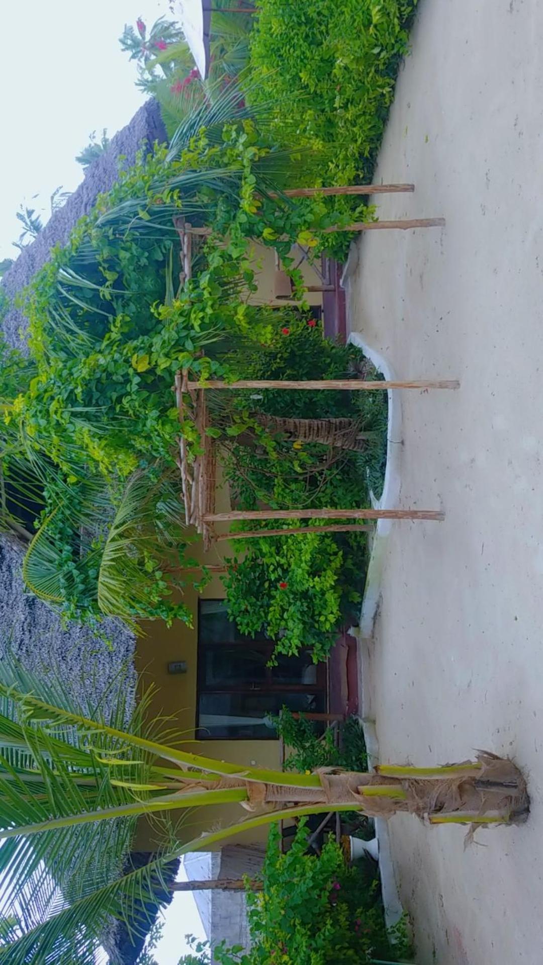 Amber Bed & Breakfast Pongwe