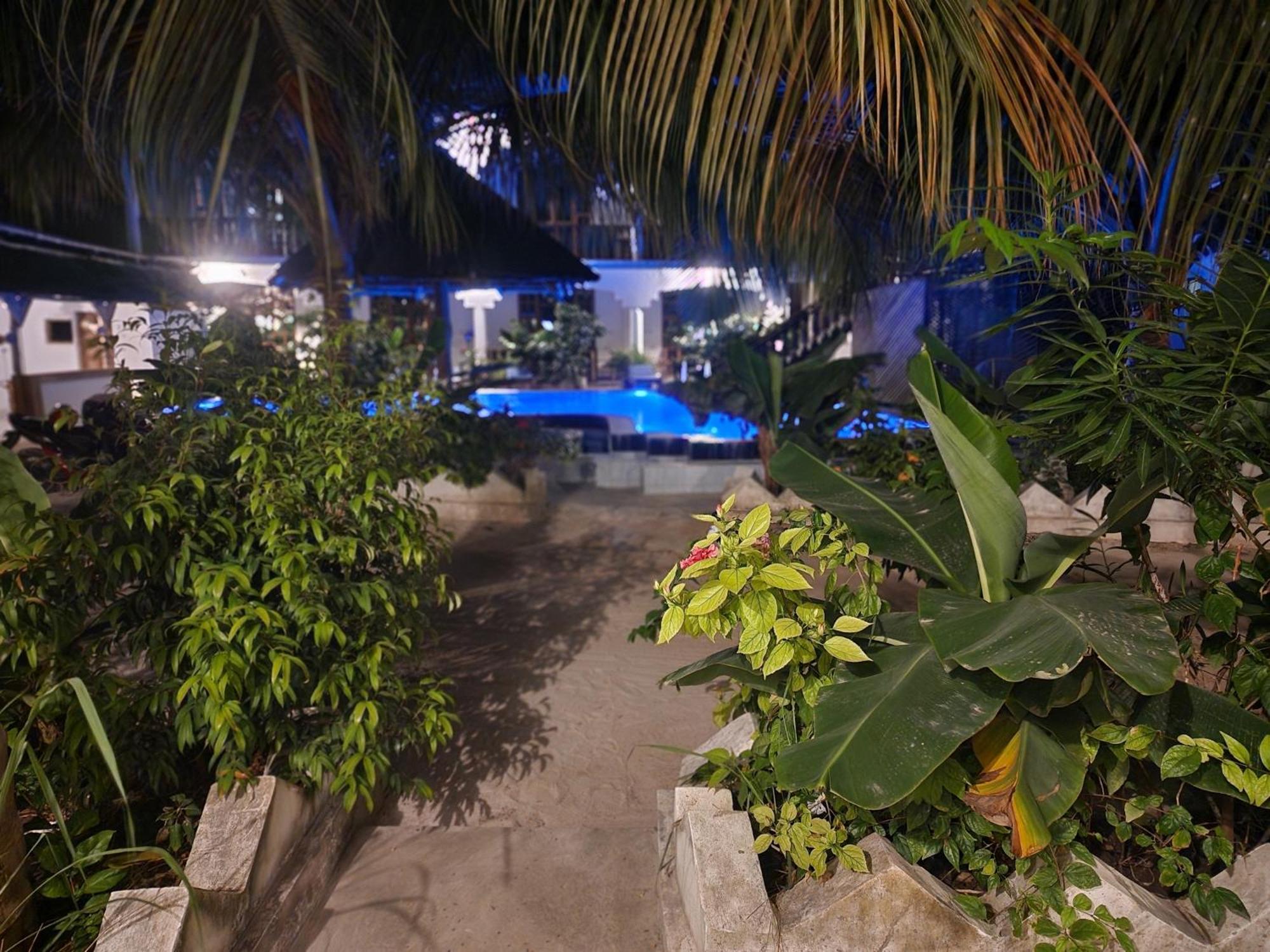 Bed & Breakfast The New Blue Waves
