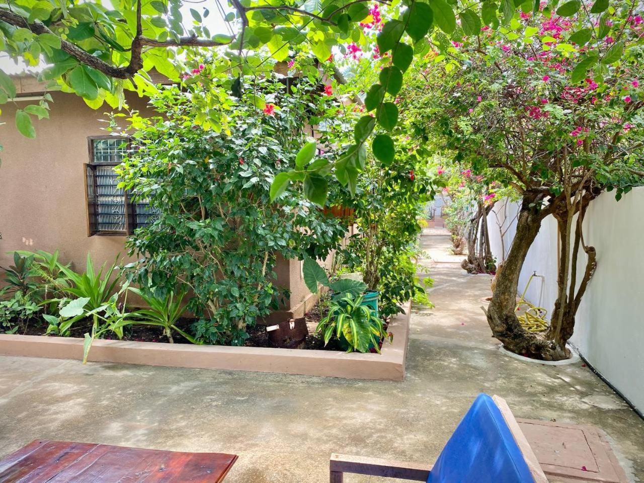 Samsara House *