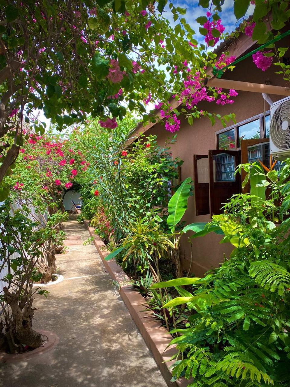 Samsara House Bed & Breakfast *