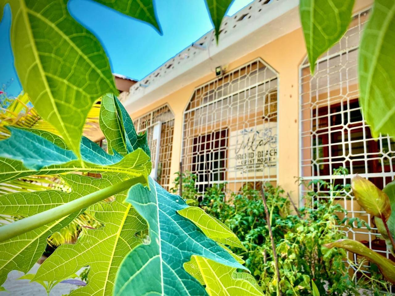 Bed & Breakfast Samsara House Kiganga