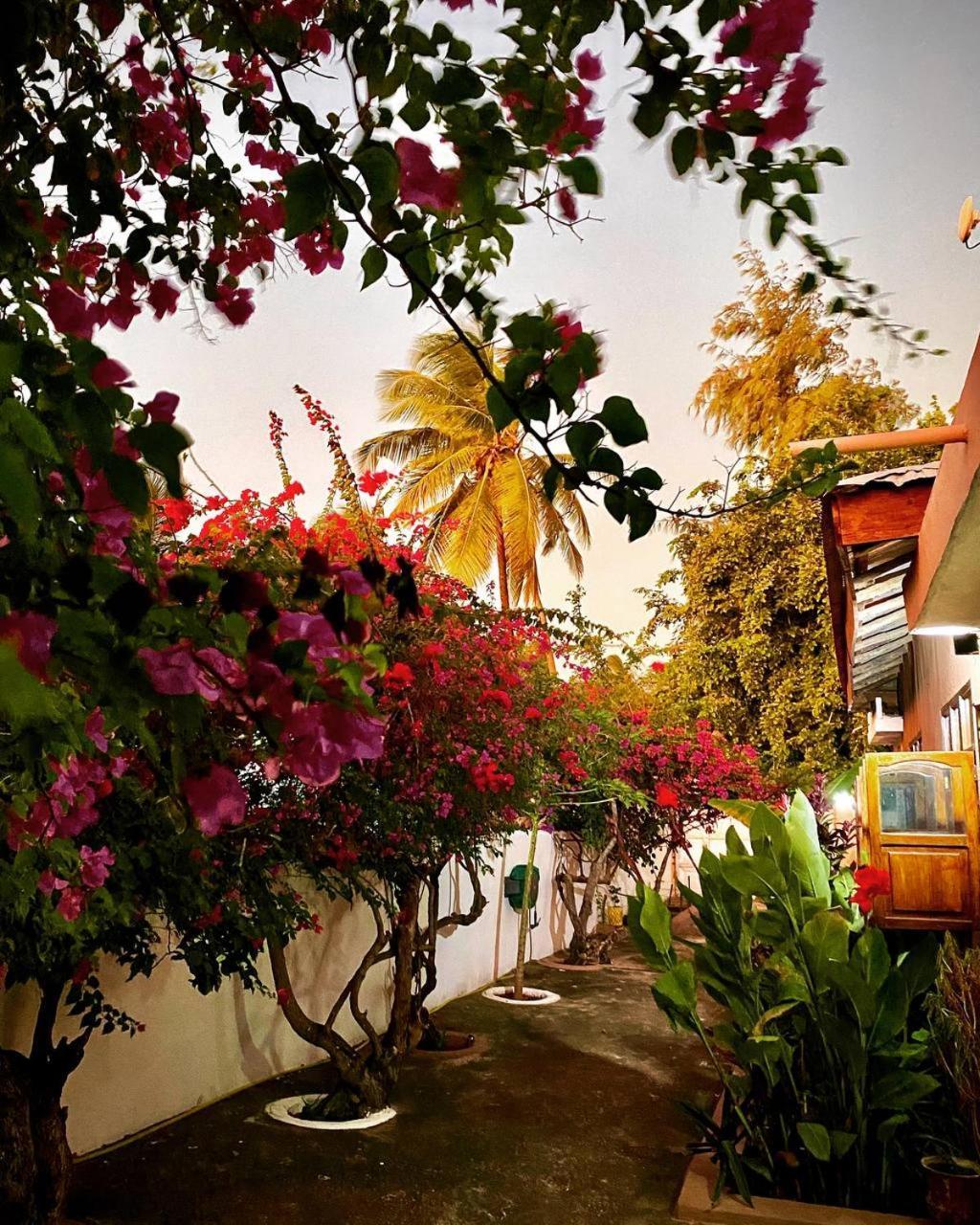 Samsara House Bed & Breakfast Kiganga