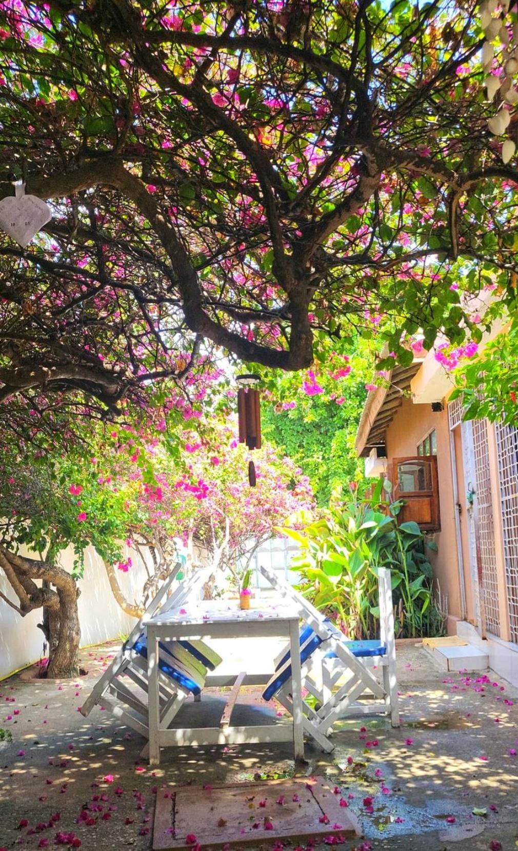 Bed & Breakfast Samsara House *