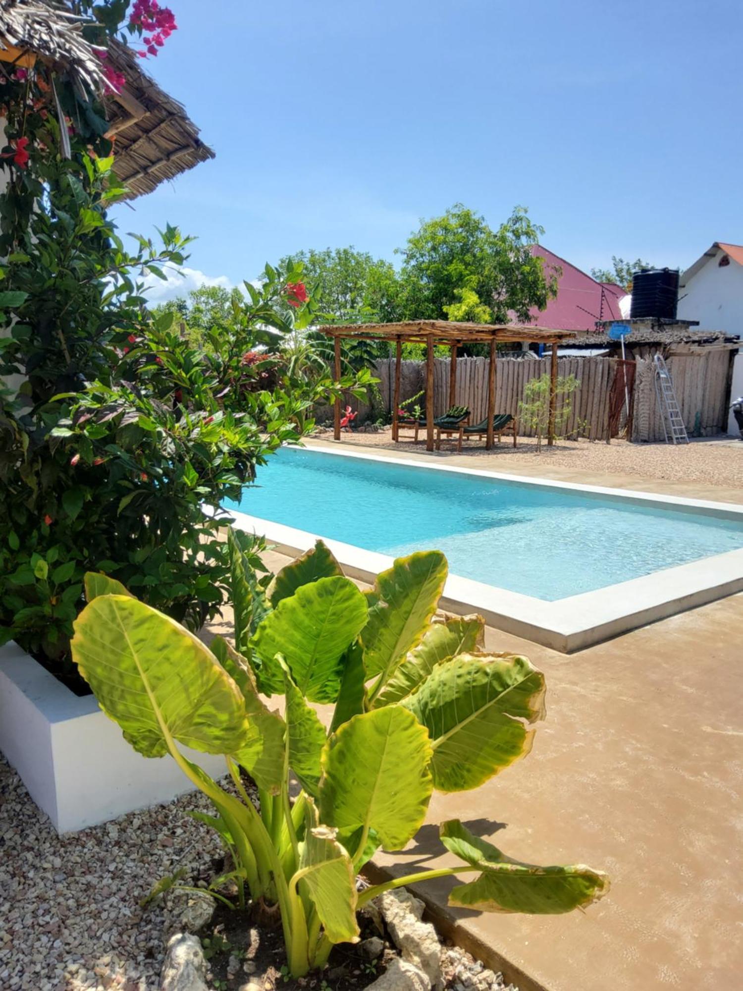 Iaia Apartment