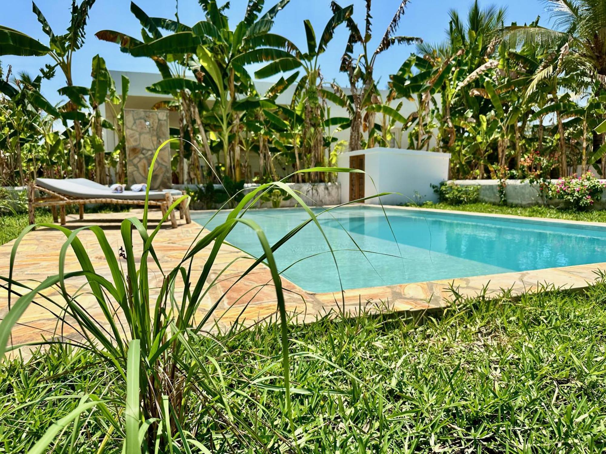 Toto With Private Pool Zanzibarhouses