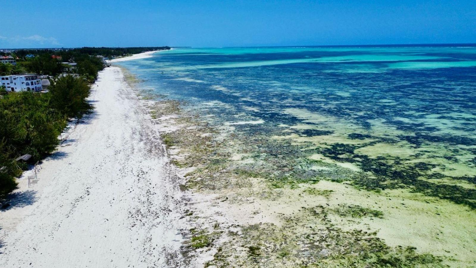 Mbuyuni Village 2* Jambiani (Zanzibar)