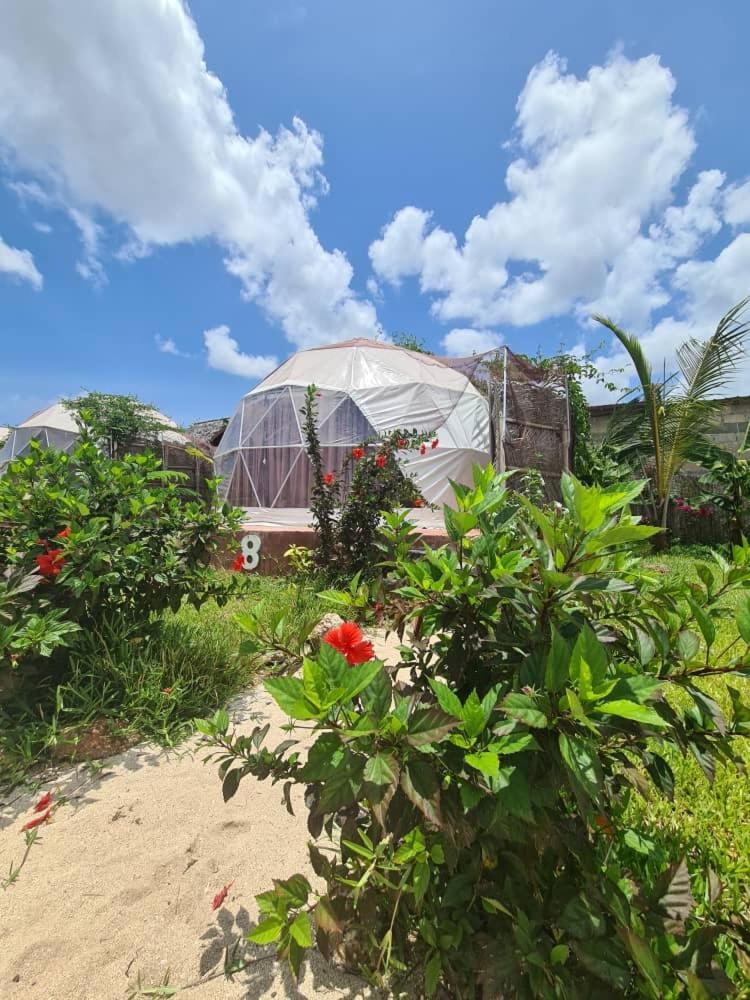 Hotel Paradise Kidoti