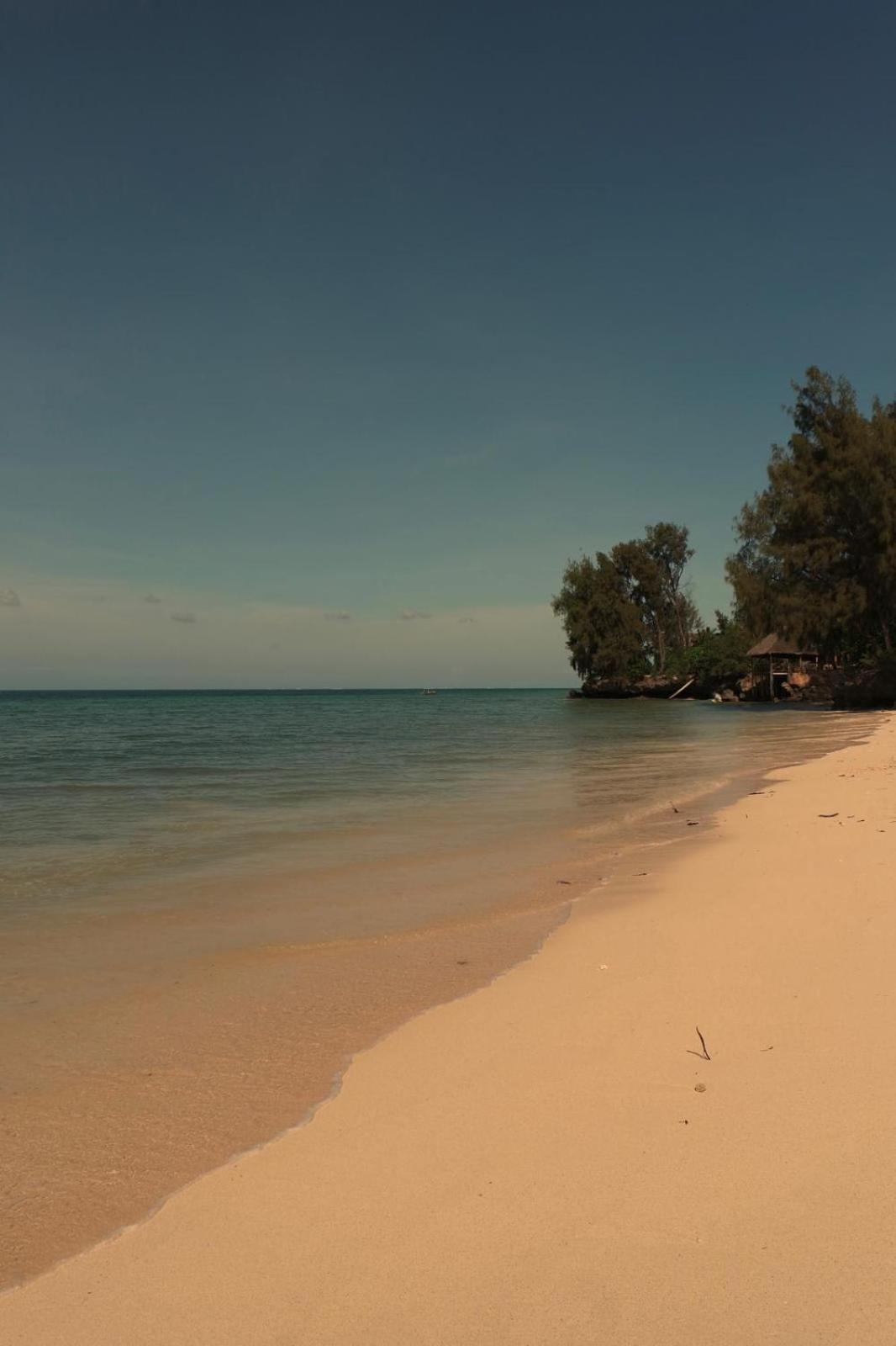 Shepherd Zanzibar - Luxury Front - Kiwengwa Villa