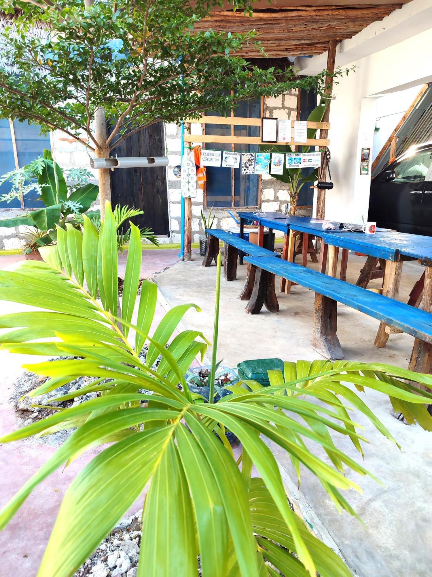 Rafiki Backpackers-hostel Hostel *