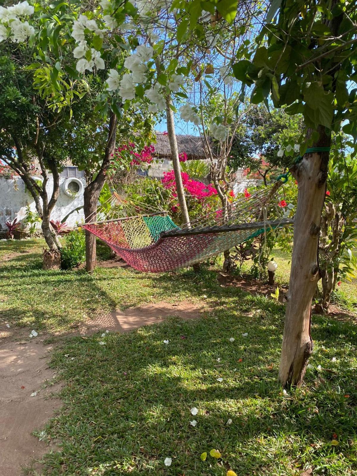 Bed & Breakfast Sweet Kiwengwa (Zanzibar)