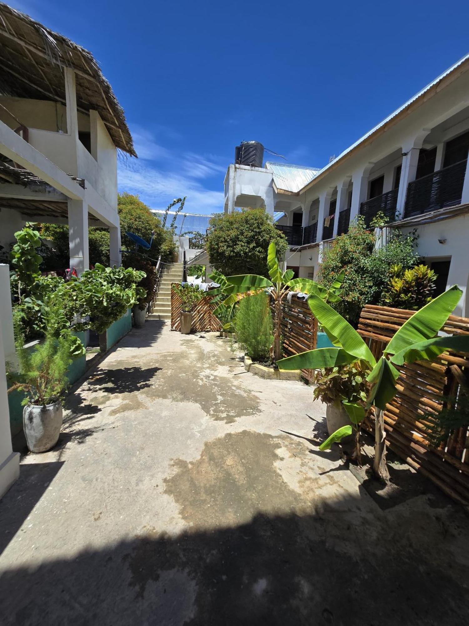 Amoni Zanzibar