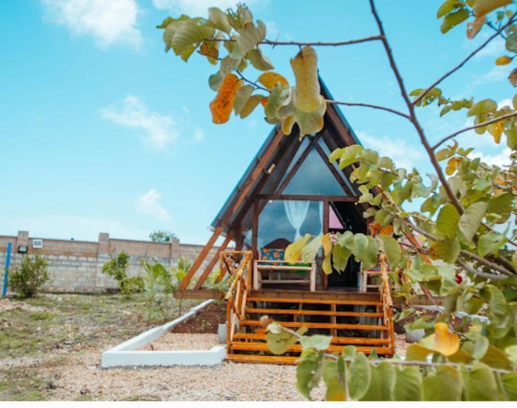 Campsite Eco-friendly A-frame 10min To