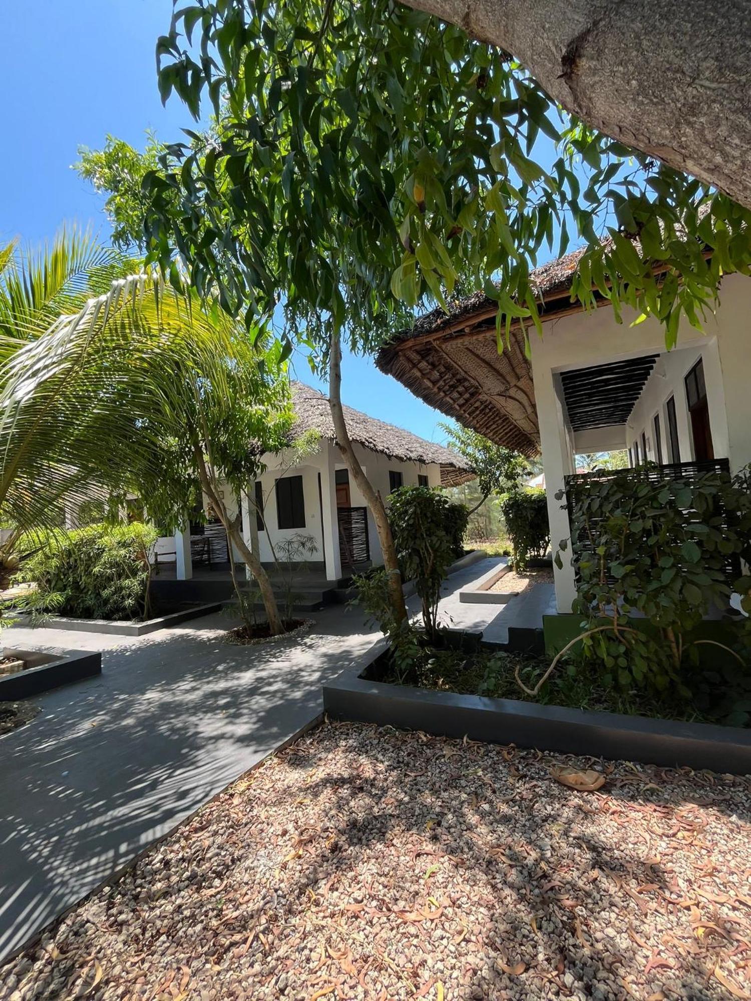 Apartment Tribe Bungalows, Bwejuu, Zanzibar Bwejuu