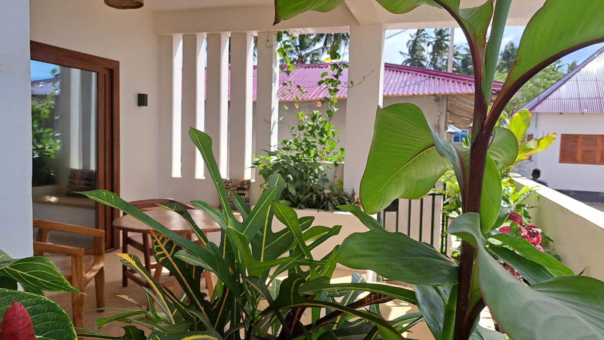 Aluna Hotel