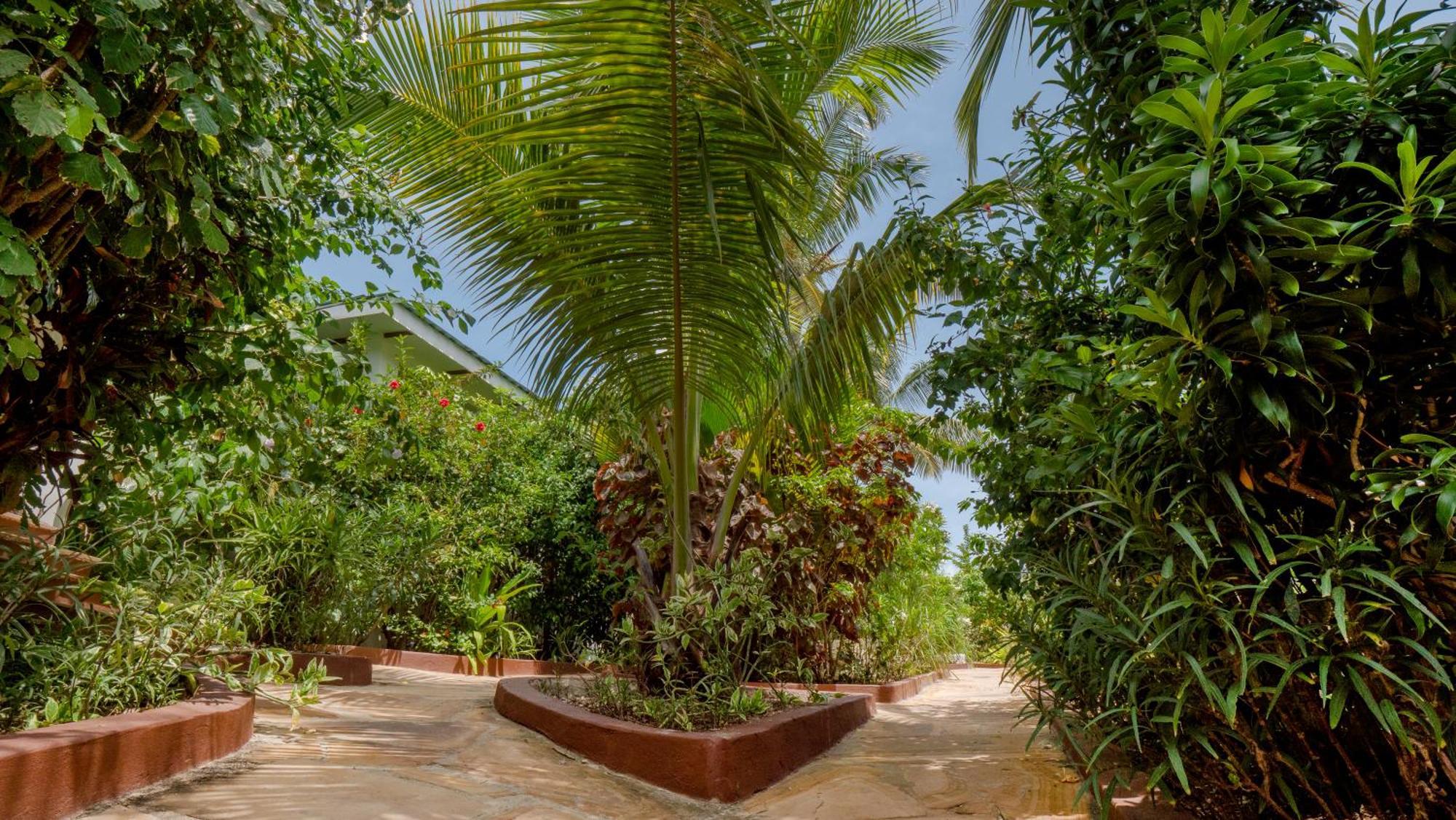 Aparthotel Nyumbani 3*