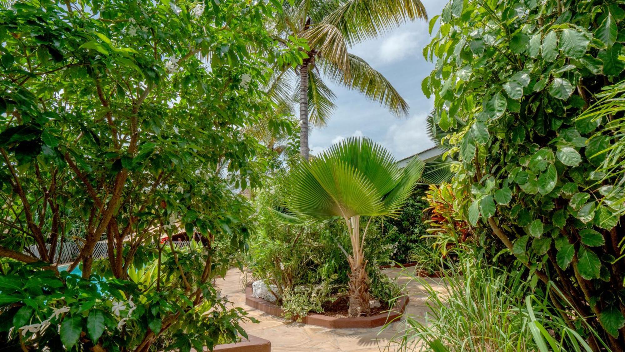 Nyumbani Aparthotel Jambiani (Zanzibar)
