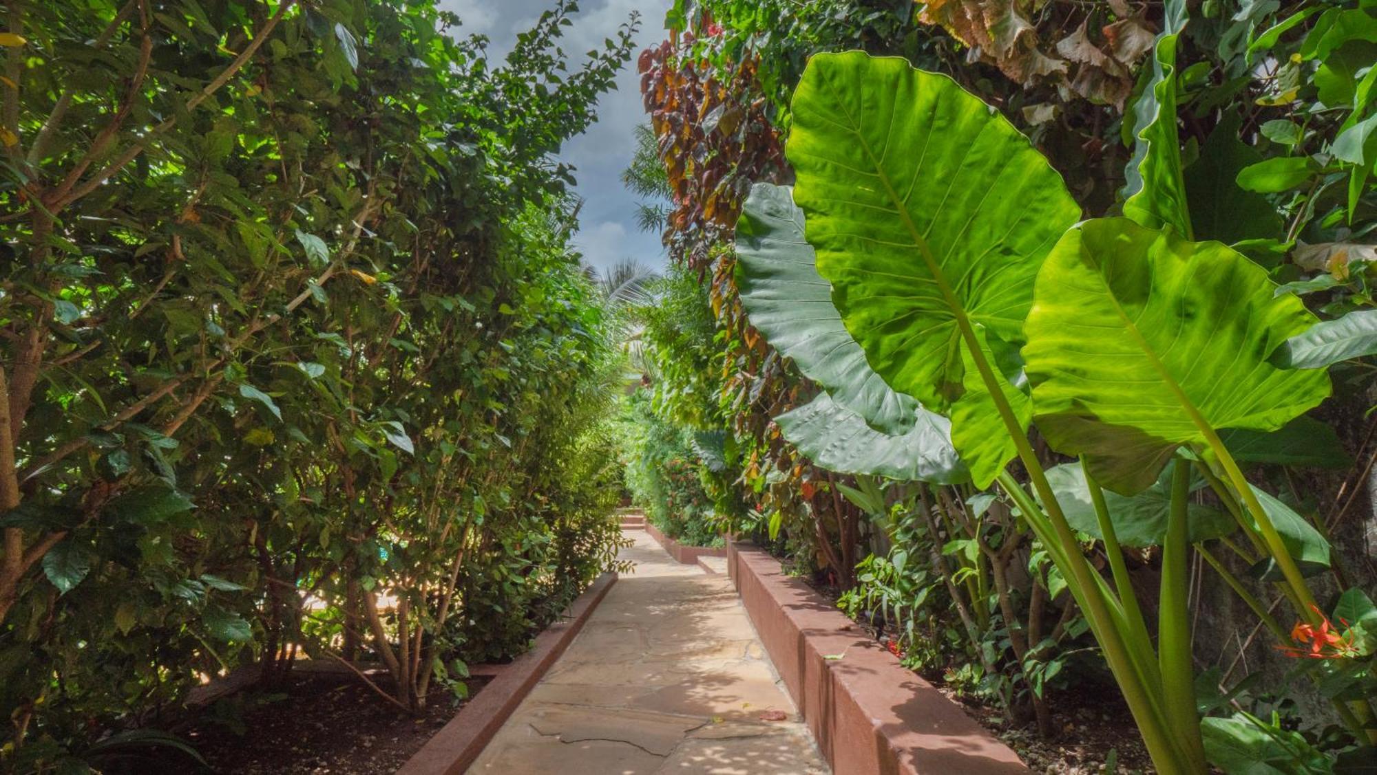 Nyumbani Jambiani (Zanzibar)