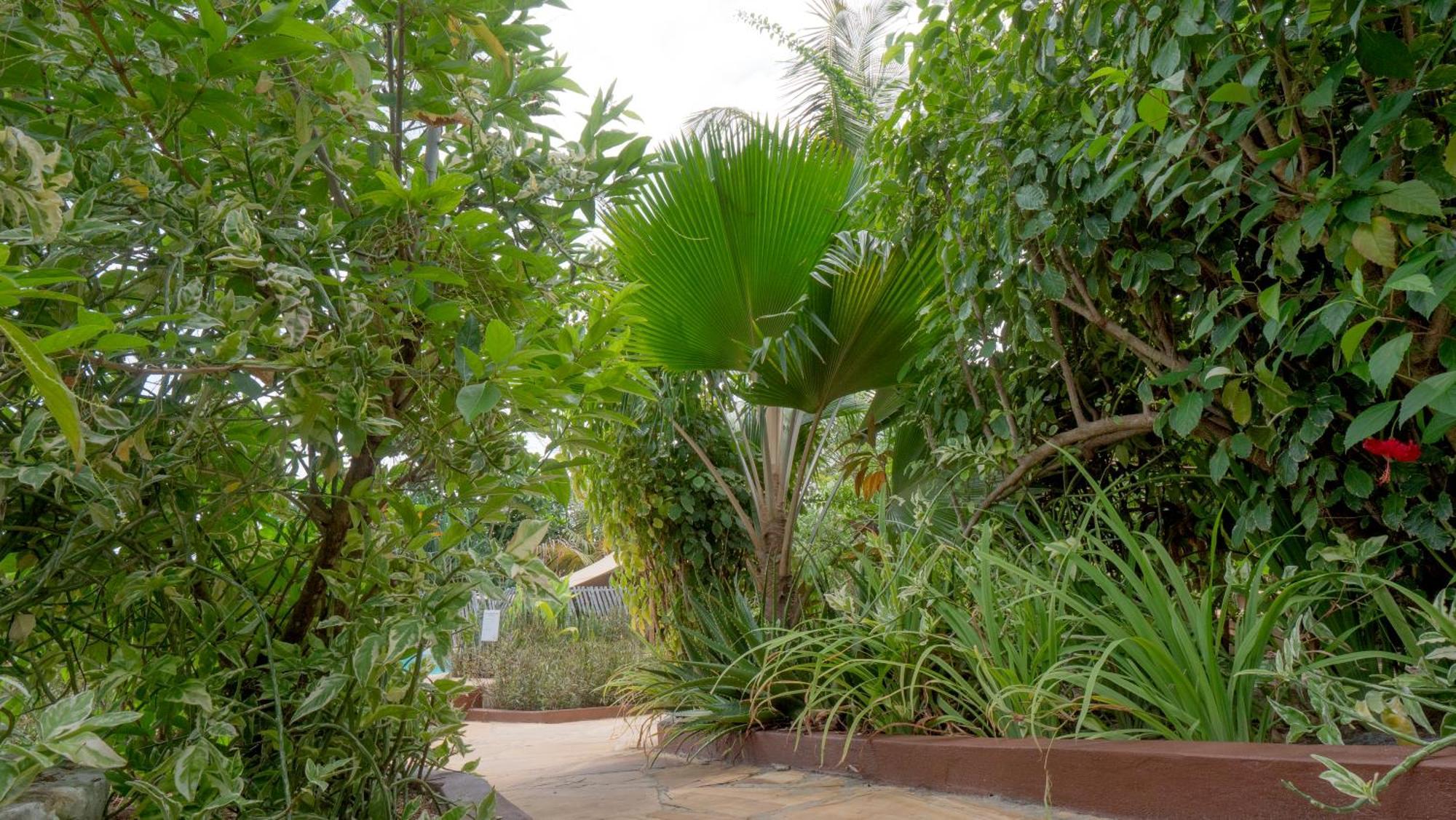 Nyumbani Aparthotel 3*