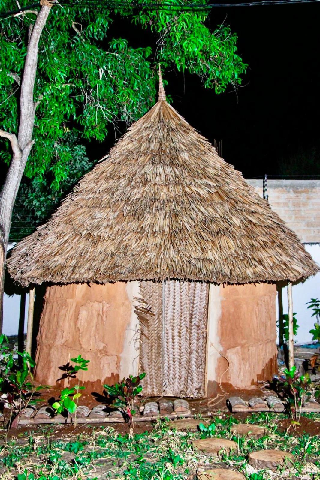 Zanzigo 3*