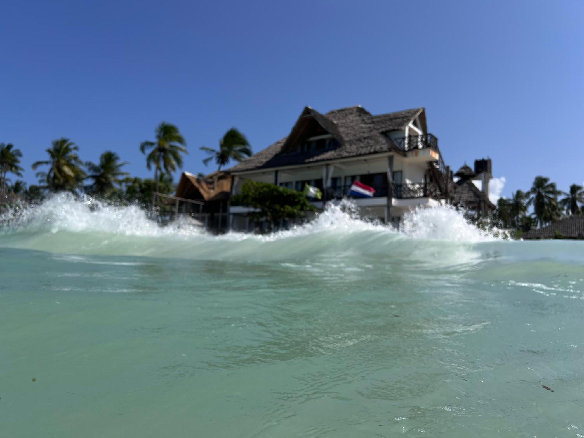 The View Of Zanzibar