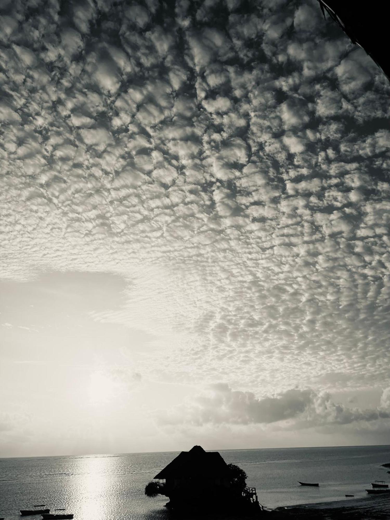 The View Of Zanzibar