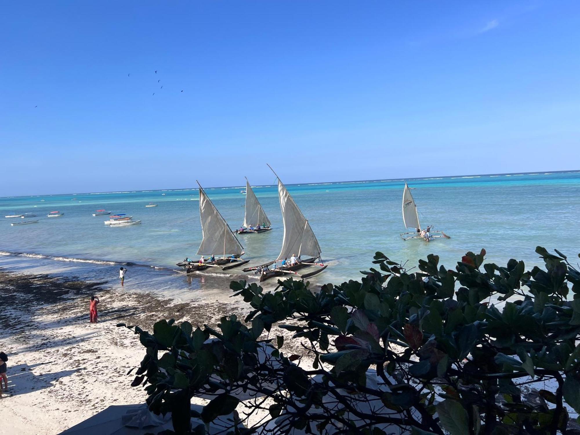 Apartment The View Of Zanzibar Michamvi Kae