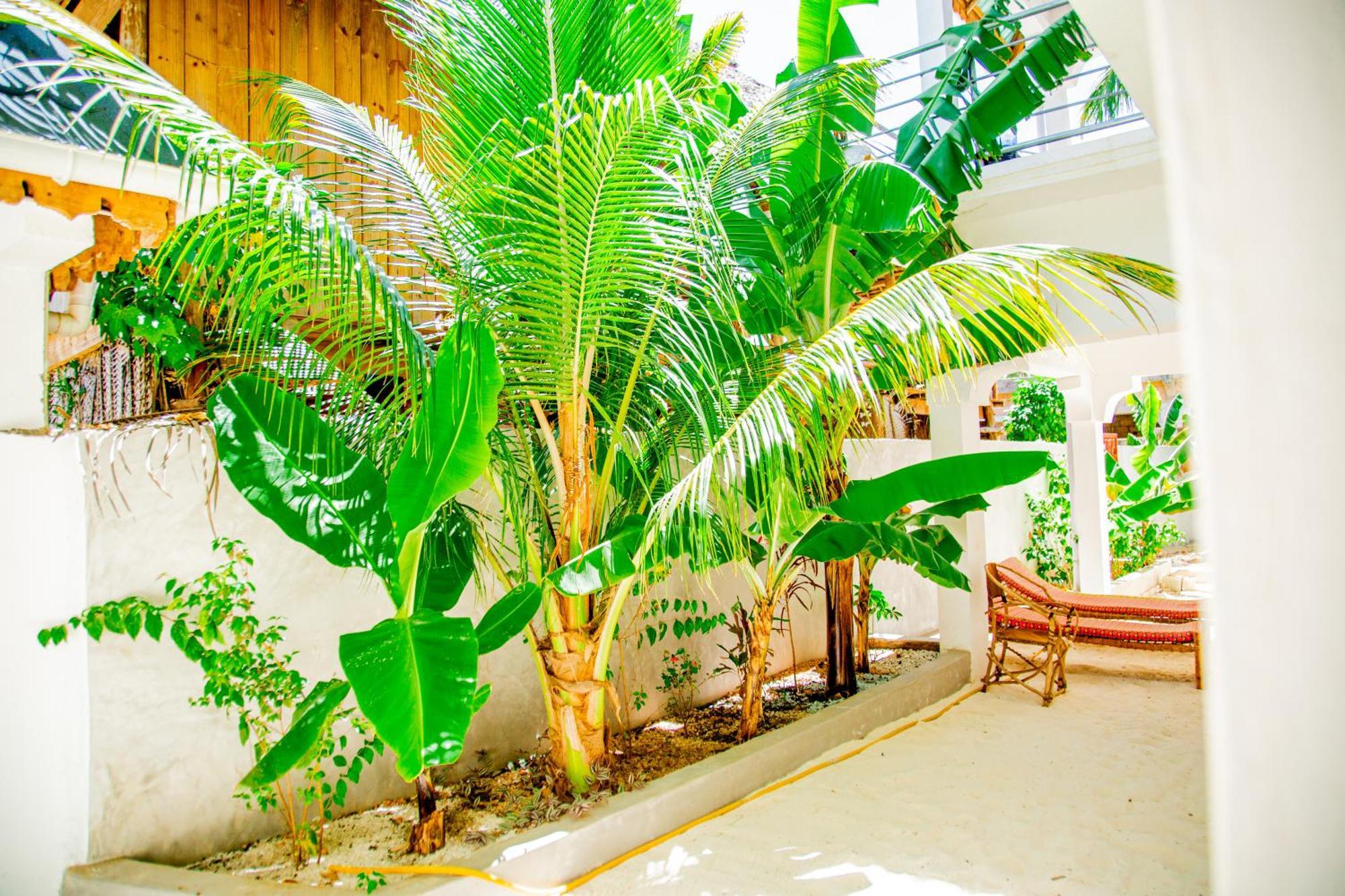 Pamoja Beach Stays Hotel In Jambiani * Jambiani (Zanzibar)