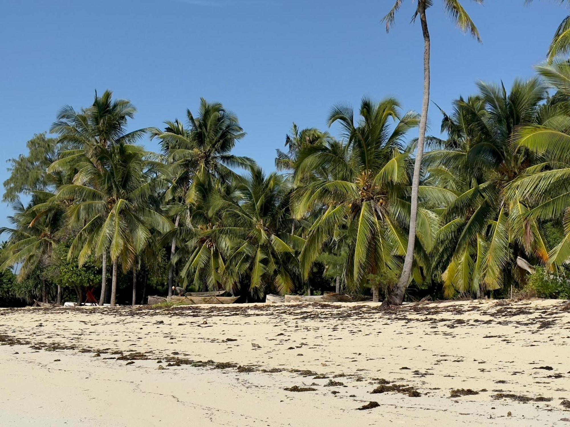 Juana Ocean Hotel Makunduchi