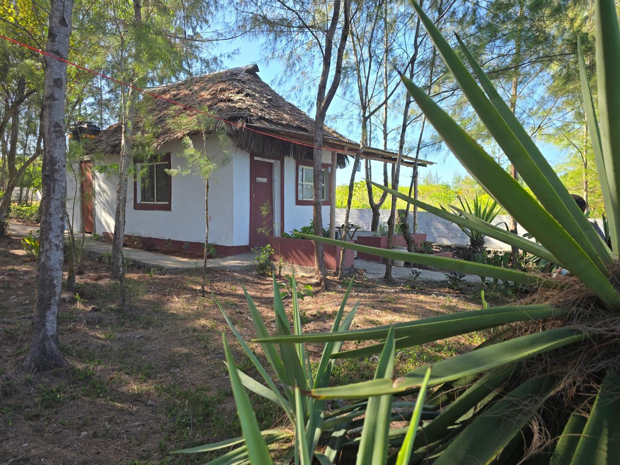 Nyumba Kuku