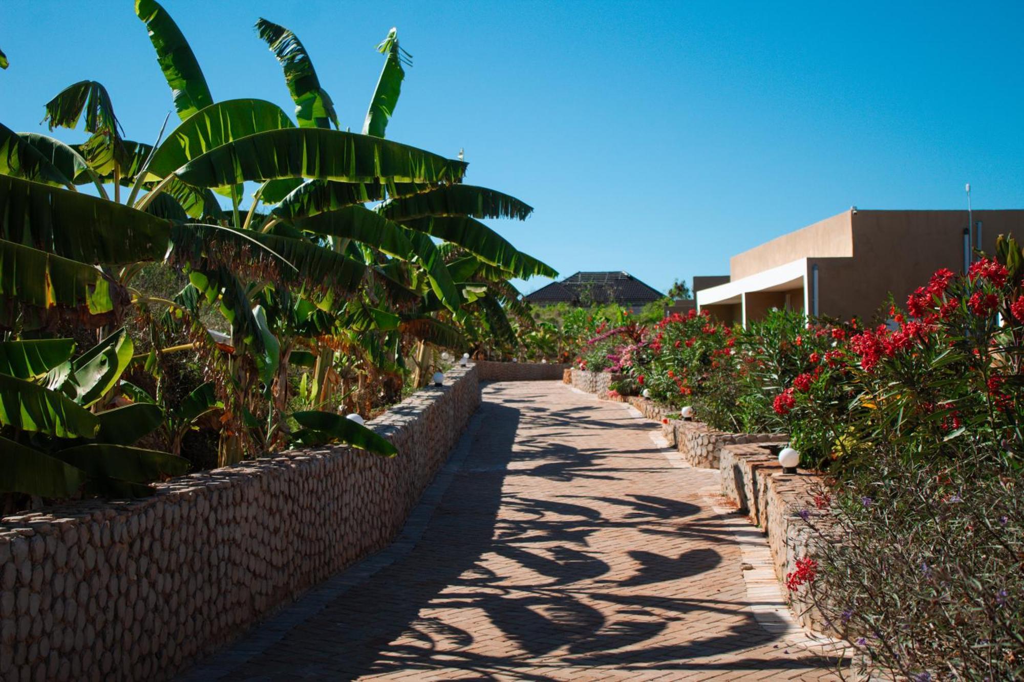 Hotel Oasis Blu Resort-adults Only Nungwi
