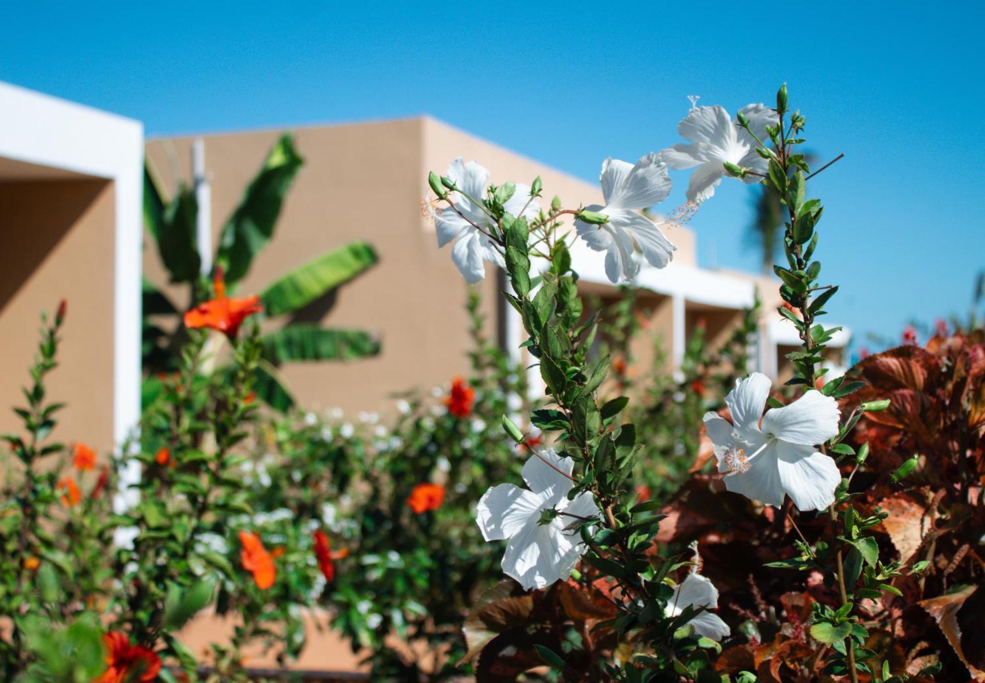 Oasis Blu Resort-adults Only