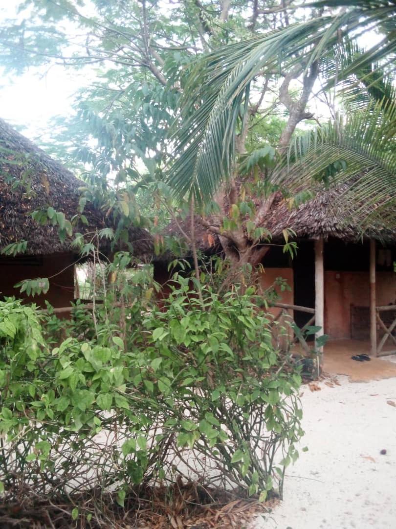 Shadrack Backpackers 3*