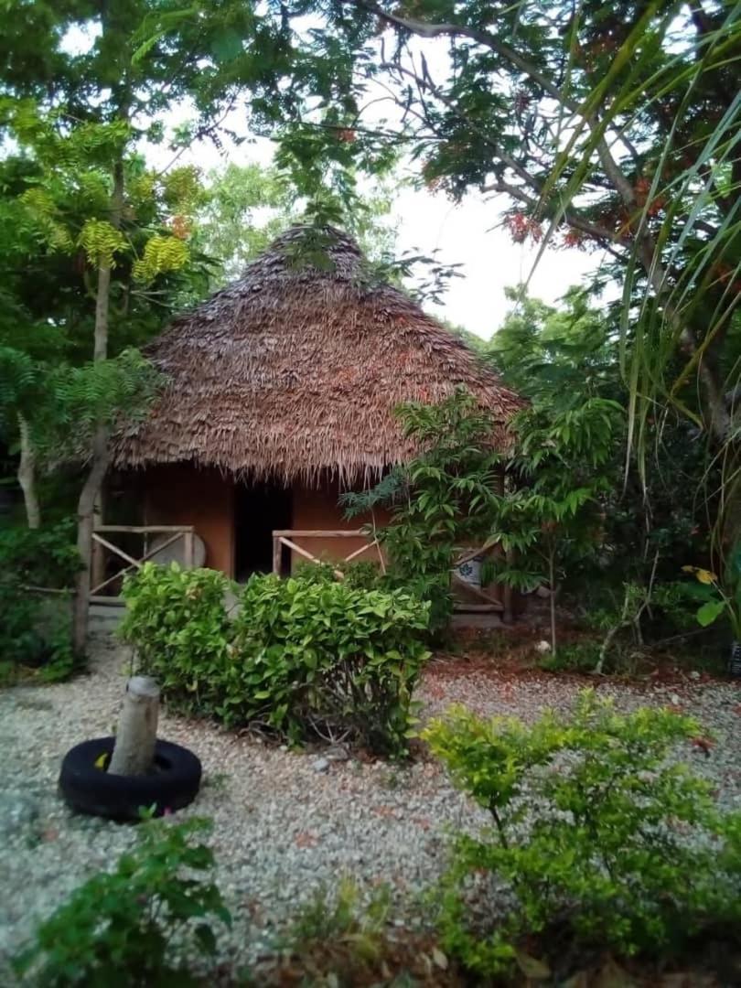 Shadrack Backpackers Nungwi