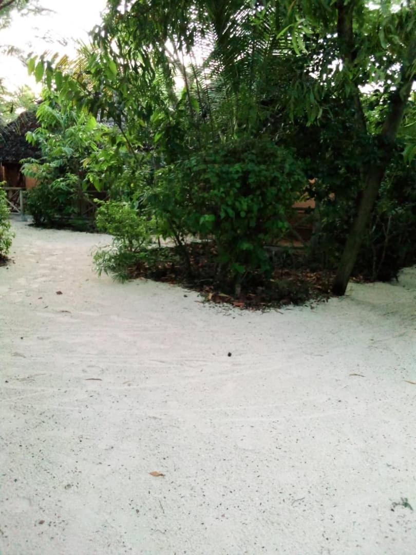 Shadrack Backpackers 3*