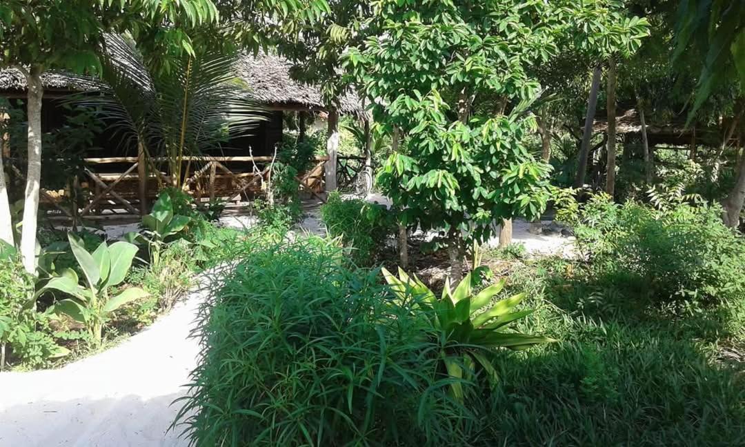 Hotel Shadrack Backpackers