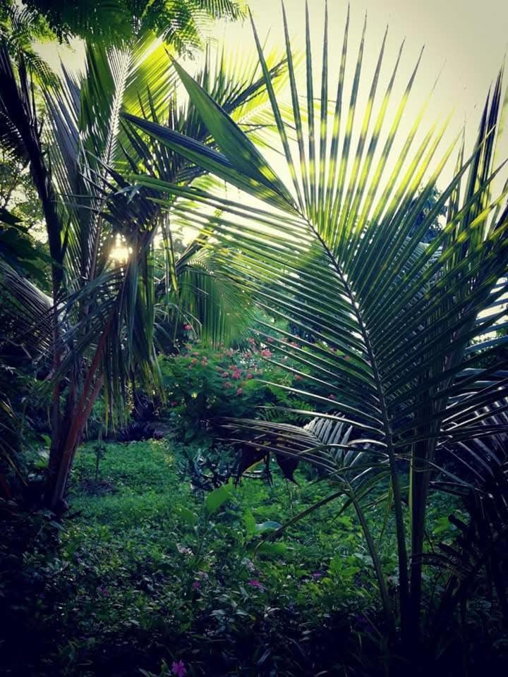 Shadrack Backpackers 3*