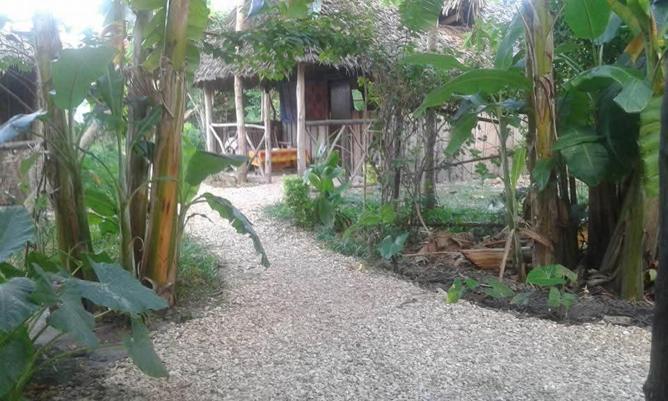 Shadrack Backpackers 3* Nungwi